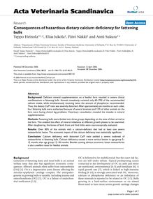 Consequences of hazardous dietary calcium deficiency for fattening bulls