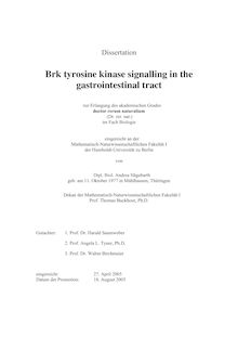 Brk tyrosine kinase signaling in the gastrointestinal tract [Elektronische Ressource] / von Andrea Hägebarth
