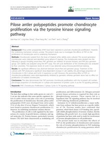 Pilose antler polypeptides promote chondrocyte proliferation via the tyrosine kinase signaling pathway
