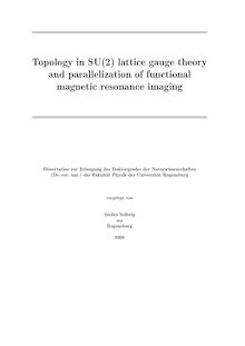 Topology in SU(2) lattice gauge theory and parallelization of functional magnetic resonance imaging [Elektronische Ressource] / vorgelegt von Stefan Solbrig