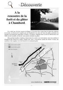 Voir le gibier à Chambord - A la rencontre de la forêt et du ...