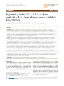 Engineering Escherichia colifor succinate production from hemicellulose via consolidated bioprocessing