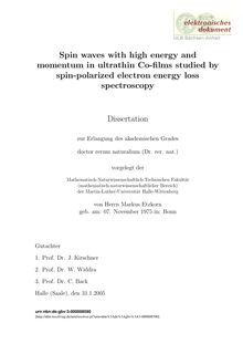 Spin waves with high energy and momentum in ultrathin Co-films studied by spin polarized electron energy loss spectroscopy [Elektronische Ressource] / von Markus Etzkorn
