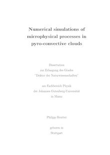 Numerical simulations of microphysical processes in pyro-convective clouds [Elektronische Ressource] / Philipp Reutter
