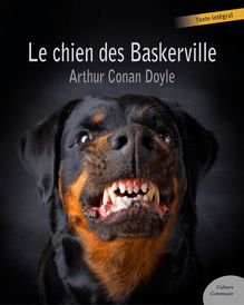 Le chien des Baskerville (policier)
