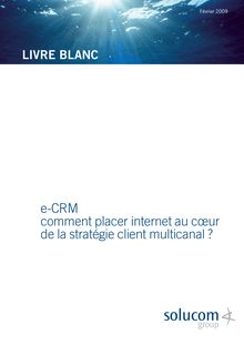 e-CRM comment placer internet au cœur de la stratégie client ...