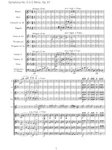 Partition , Allegro, Symphony No.5, Op.67, C minor, Beethoven, Ludwig van