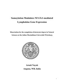Sumoylation modulates NFATc1-mediated lymphokine gene expression [Elektronische Ressource] / Arnab Nayak