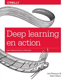 Deep learning en action - Une approche par la pratique - collection O Reilly