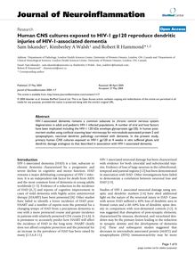 Human CNS cultures exposed to HIV-1 gp120 reproduce dendritic injuries of HIV-1-associated dementia