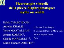 Pleuroscopie virtuelle de la plèvre diaphragmatique: mythe ou réalité