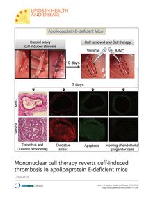 Mononuclear cell therapy reverts cuff-induced thrombosis in apolipoprotein E-deficient mice