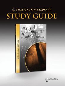 Midsummer Night s Dream Novel Study Guide