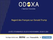 Comment Donald Trump est perçu par les Français