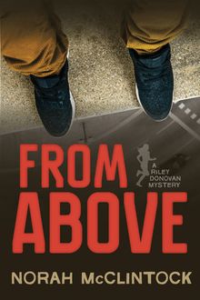From Above : A Riley Donovan mystery