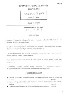 Arts Plastiques 2003 Brevet (filière générale)