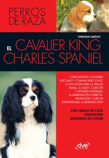 EL cavalier King Charles spaniel