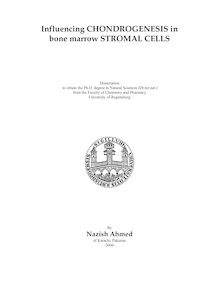 Influencing chondrogenesis in bone marrow stromal cells [Elektronische Ressource] / by Nazish Ahmed