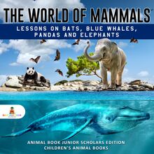The World of Mammals: Lessons on Bats, Blue Whales, Pandas and Elephants | Animal Book Junior Scholars Edition | Children s Animal Books