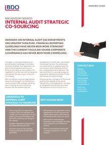 Risk Advisory Services - Internal Audit Strategic Co-Sourcing