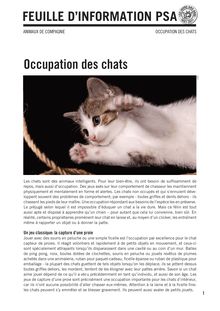 Comment occuper son chat ?