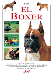 El Boxer