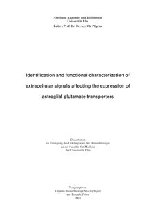 Identification and functional characterization of extracellular signals affecting the expression of astroglial glutamate transporters [Elektronische Ressource] / Maciej Figiel