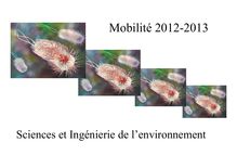 Mobilité 2012-2013