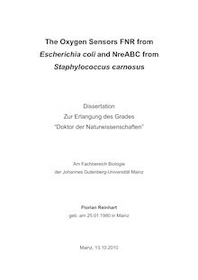 The oxygen sensors FNR from Escherichia coli and NreABC from Staphylococcus carnosus [Elektronische Ressource] / Florian Reinhart