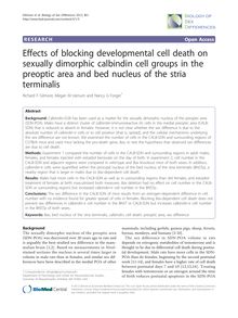 Effects of blocking developmental cell death on sexually dimorphic calbindin cell groups in the preoptic area and bed nucleus of the stria terminalis