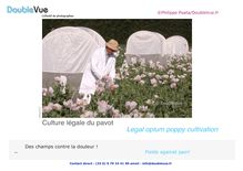 Culture légale du pavot Legal opium poppy cultivation