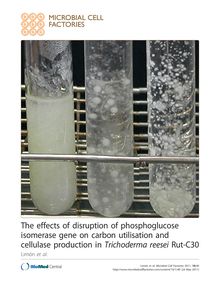 The effects of disruption of phosphoglucose isomerase gene on carbon utilisation and cellulase production in Trichoderma reeseiRut-C30