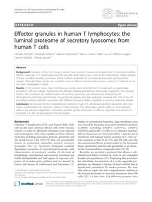 Effector granules in human T lymphocytes: the luminal proteome of secretory lysosomes from human T cells