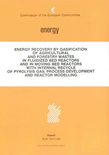 Energy recovery by gasification of agricultural and forestry wastes in fluidized bed reactors and in moving bed reactors with internal recycle of pyrolysis gas