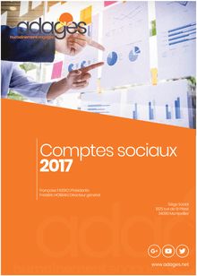 COMPTES SOCIAUX 2017