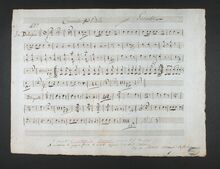 Partition trompette (D), viole de gambe Concerto, D minor, Donizetti, Gaetano