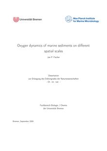 Oxygen dynamics of marine sediments on different spatial scales [Elektronische Ressource] / Jan P. Fischer