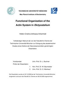 Functional organization of the actin system in Dictyostelium [Elektronische Ressource] / Hellen Cristina Ishikawa-Ankerhold