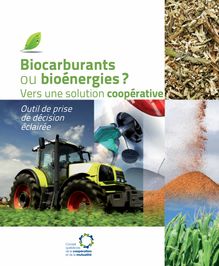Biocarburants ou bioénergies ? Vers une solution coopérative. Outil de prise de décision éclairée