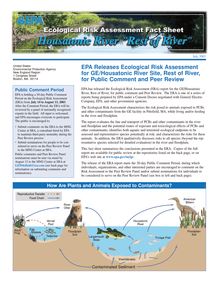 ECOLOGICAL RISK ASSESSMENT FACT SHEET HOUSATONIC RIVER REST OF RIVER  - EPA RELEASES ECOLOGICAL RISK