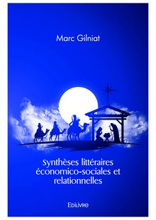 Synthèses littéraires économico-sociales et relationnelles