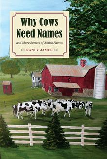 Why Cows Need Names