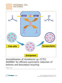 Immobilization of Acetobacter sp. CCTCC M209061 for efficient asymmetric reduction of ketones and biocatalyst recycling