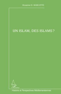 Un islam, des islams ?