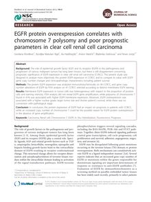 EGFR protein overexpression correlates with chromosome 7 polysomy and poor prognostic parameters in clear cell renal cell carcinoma