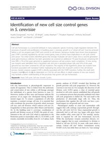 Identification of new cell size control genes in S. cerevisiae