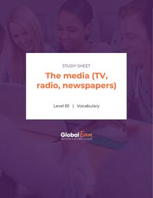 The media (TV, radio, newspapers)