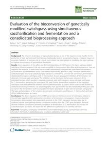 Evaluation of the bioconversion of genetically modified switchgrass using simultaneous saccharification and fermentation and a consolidated bioprocessing approach