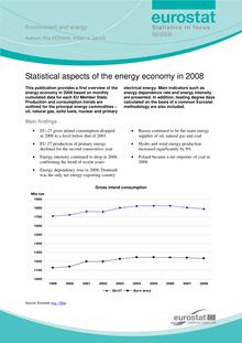 Statistical aspects of the energy economy in 2008