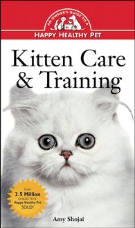 Kitten Care & Training